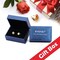 Crystal Drop Stud Earrings for Women Fashion S925 Sterling Silver Hypoallergenic Jewelry (Rainbow)